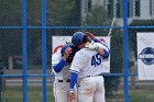 Baseball vs Babson  Wheaton College Baseball vs Babson during NEWMAC Championship Tournament. - (Photo by Keith Nordstrom) : Wheaton, baseball, NEWMAC